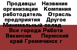 Продавцы › Название организации ­ Компания-работодатель › Отрасль предприятия ­ Другое › Минимальный оклад ­ 1 - Все города Работа » Вакансии   . Пермский край,Гремячинск г.